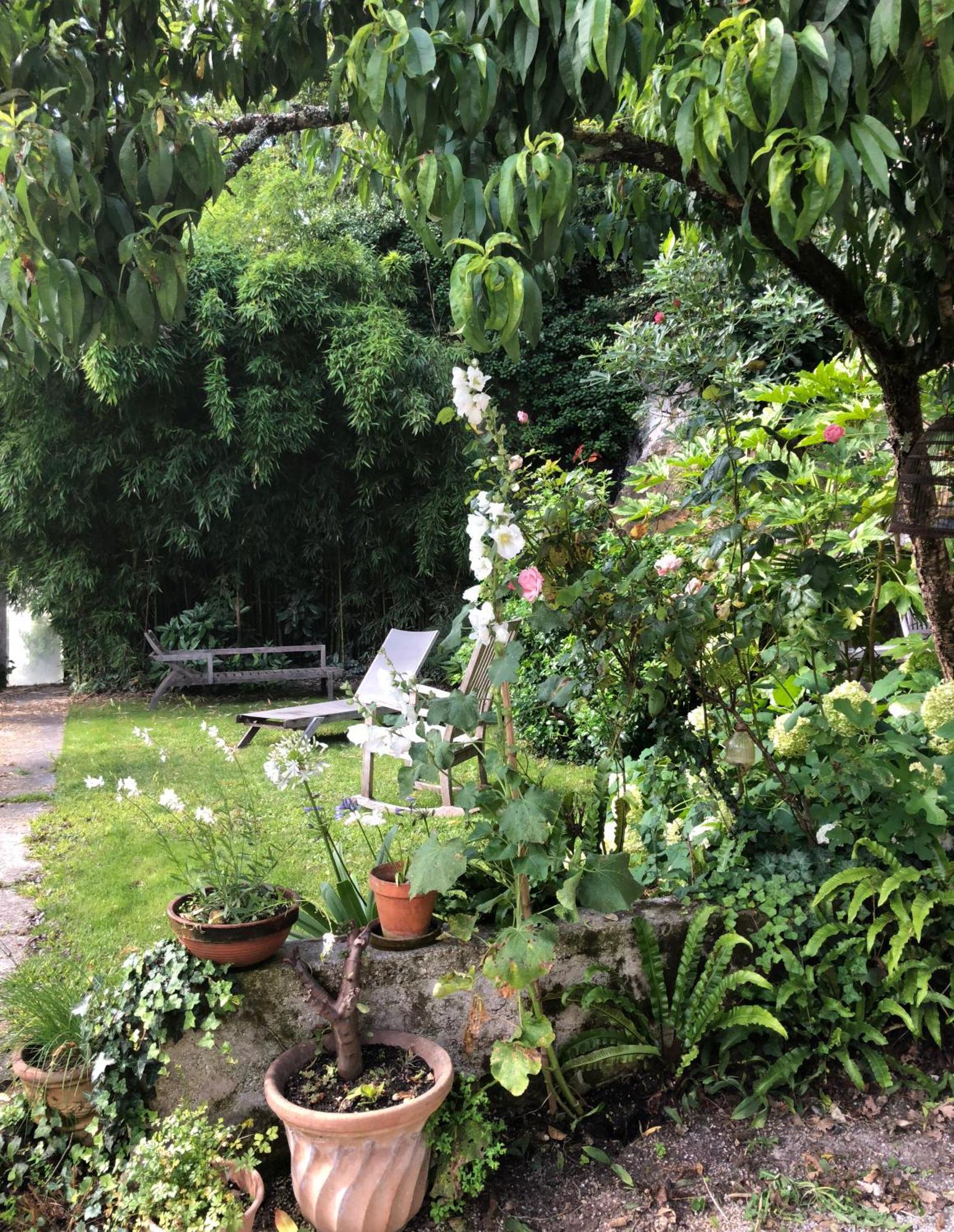 Bed and Breakfast L'Heure Bleue Saintes Esterno foto